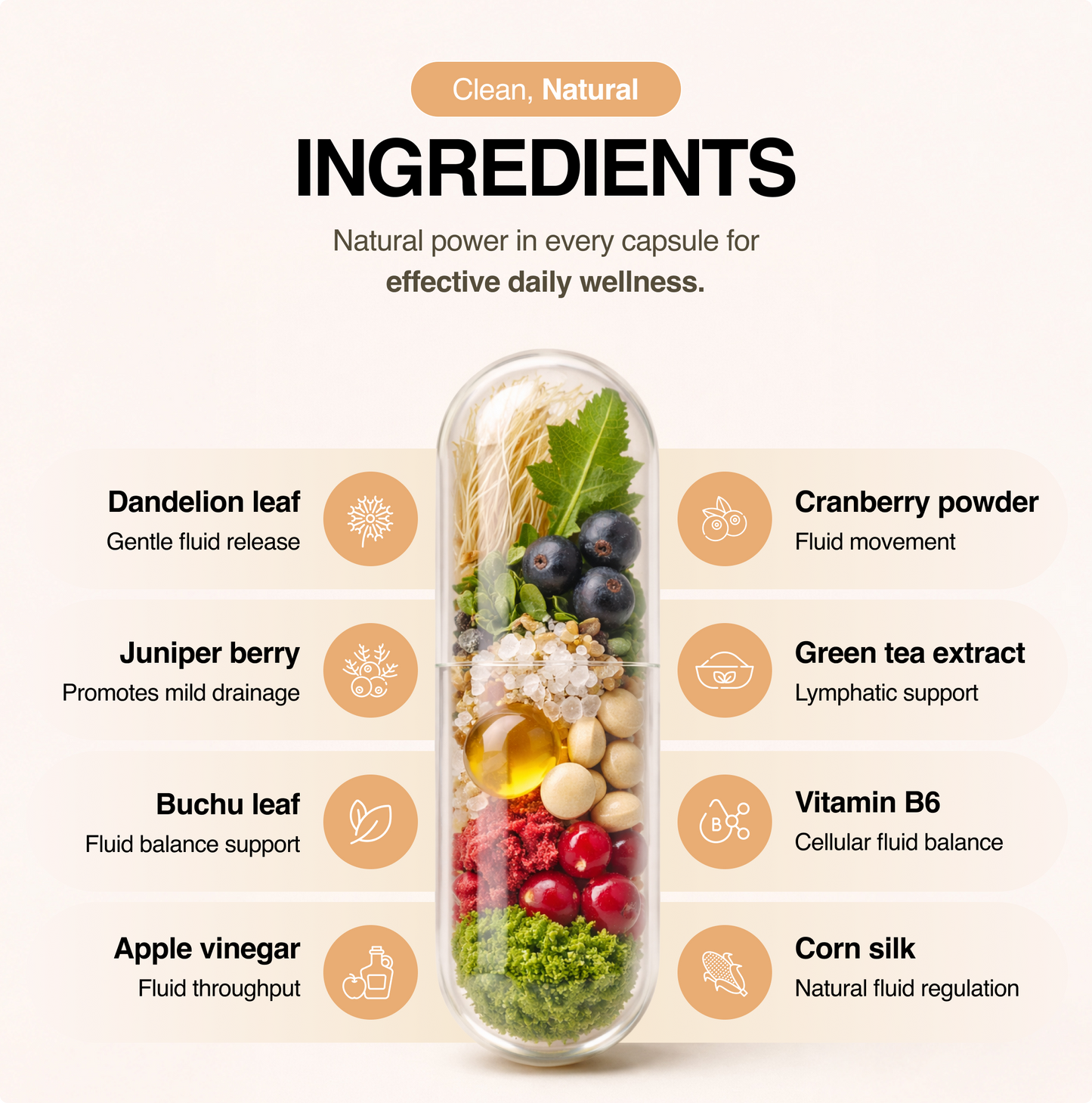 Definition: Daily Facial Fluid Support Supplement